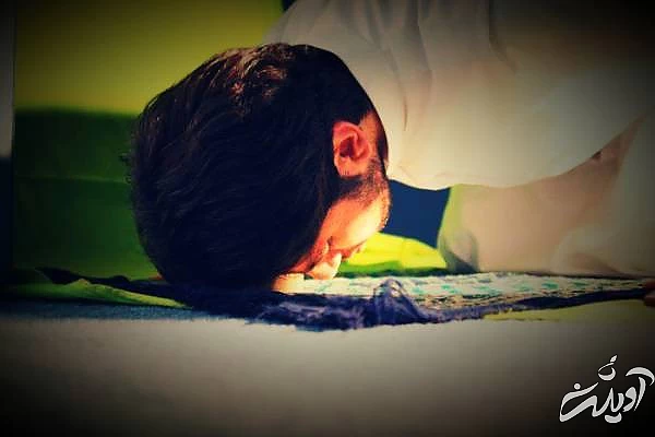 فضیلت نماز شب در کلام ائمه فضیلت نماز شب